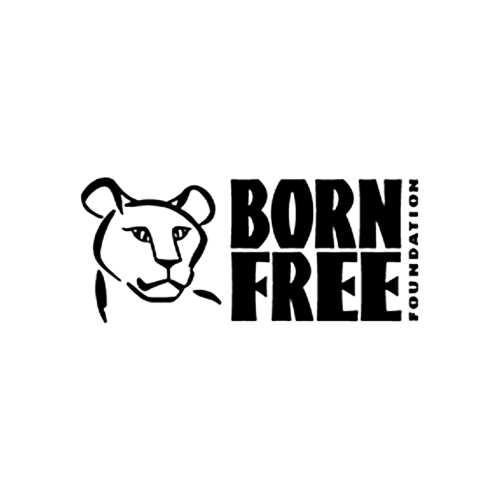 Born Free Badger Week!